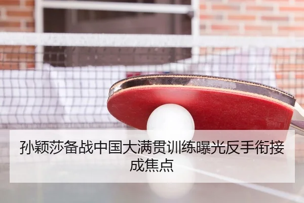 孙颖莎备战中国大满贯训练曝光反手衔接成焦点